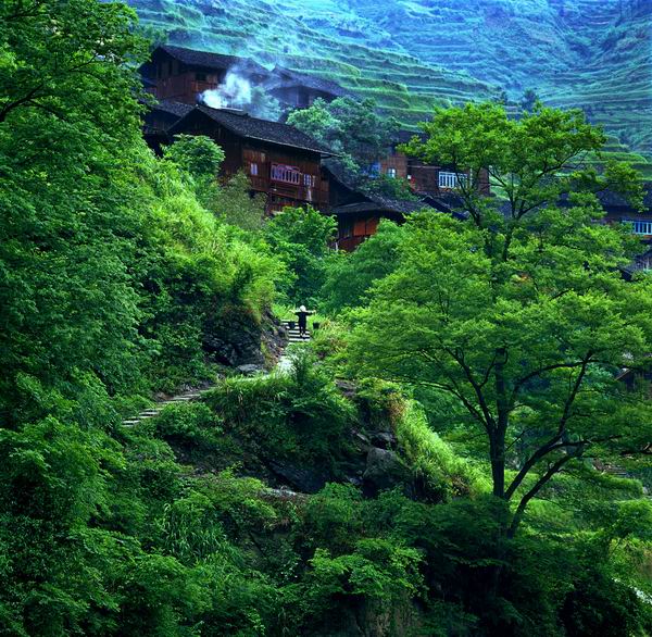 保靖农家一幕风景